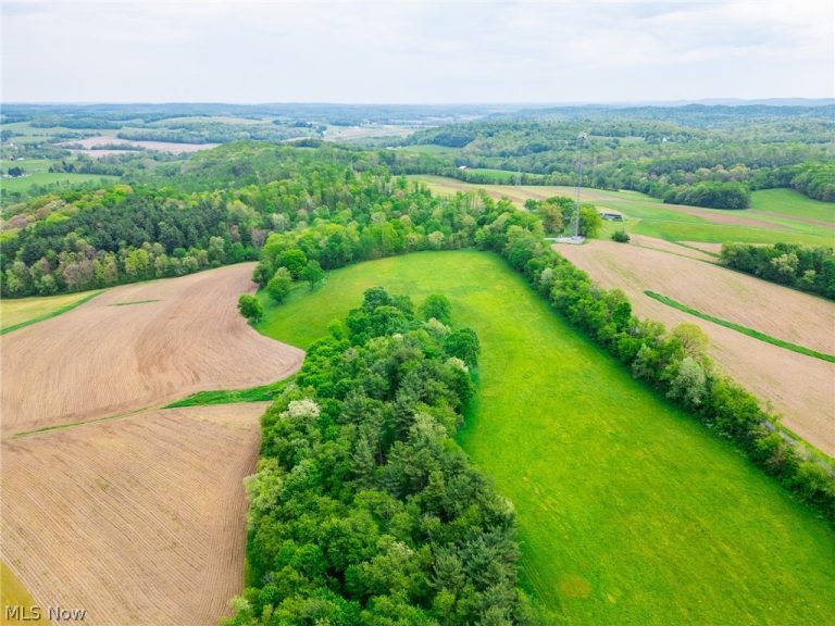 Summitville Road, Salineville, OH - Photo 3