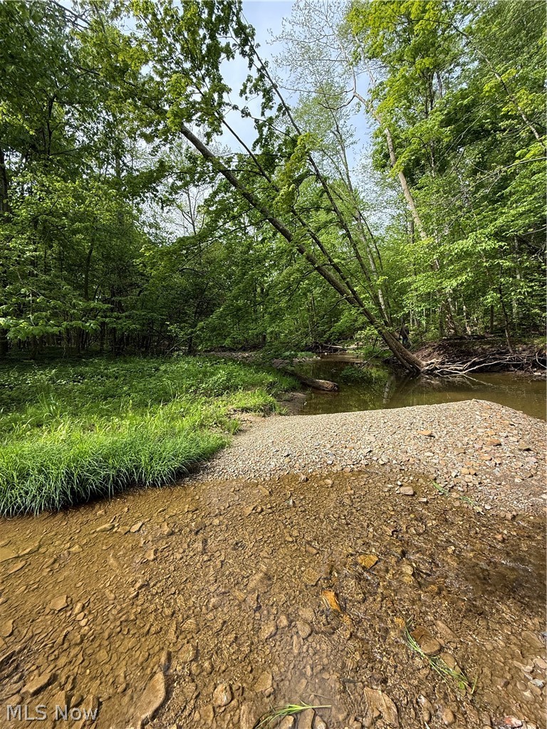 Winterberry Lane, Chardon, OH - Photo 5