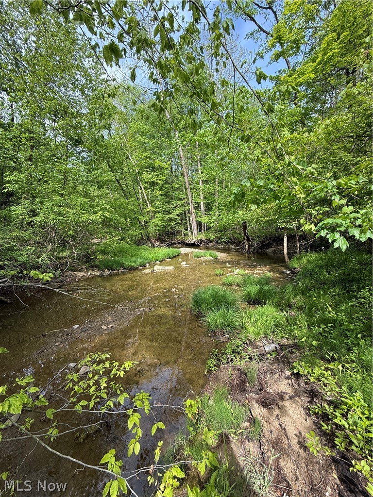 Winterberry Lane, Chardon, OH - Photo 6