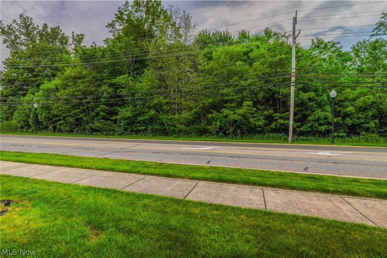 196 Broad Street, Canfield, OH - Photo 5