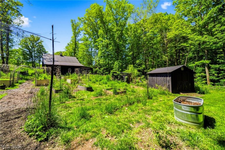 4233 Forest Ridge Drive, Ashtabula, OH - Photo 6
