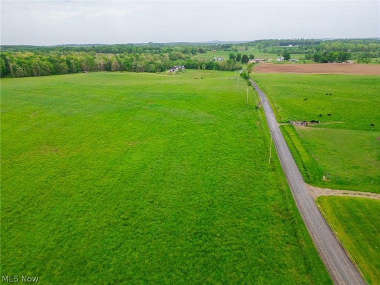 Emerick Road, Salineville, OH - Photo 6