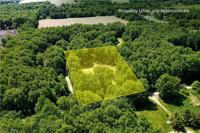 Mahan Denman Road, Bristolville, OH - Photo 2