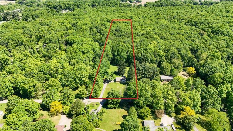 9621 Wolfe Road, Windham, OH - Photo 4