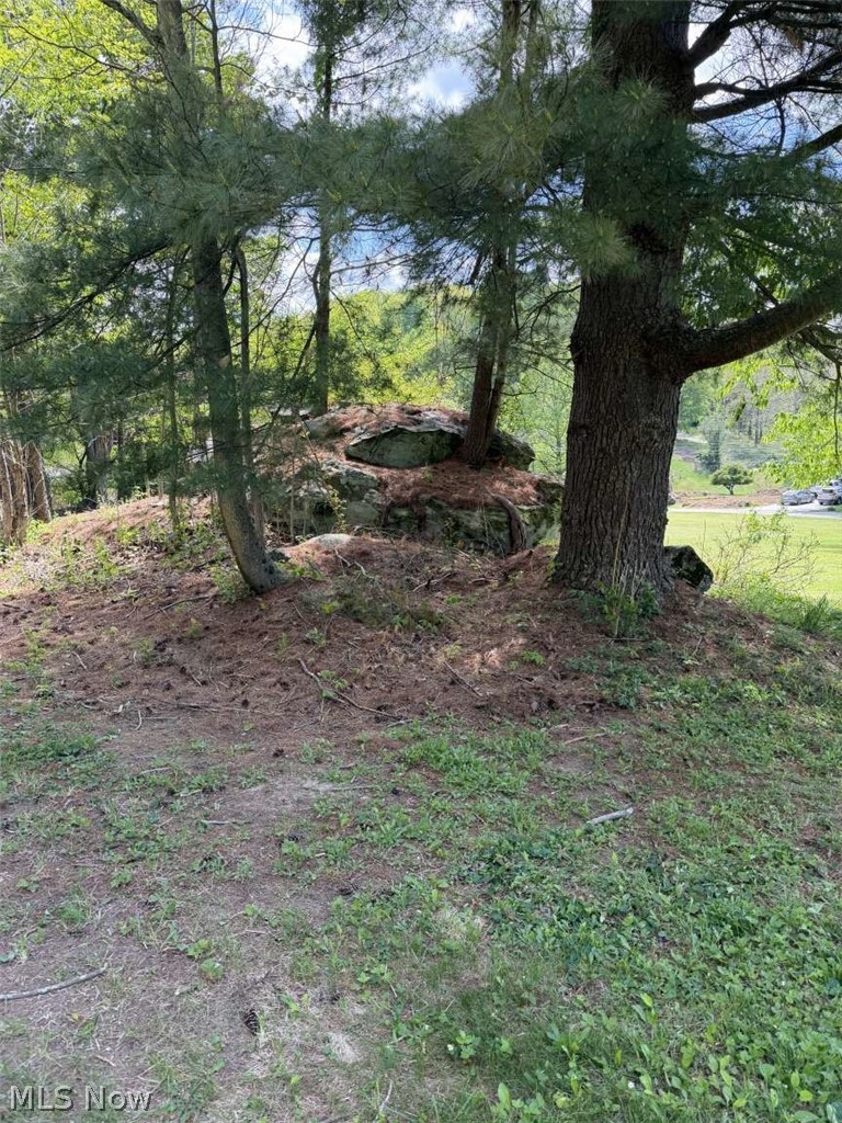 Township Road 1193, Coshocton, OH - Photo 6