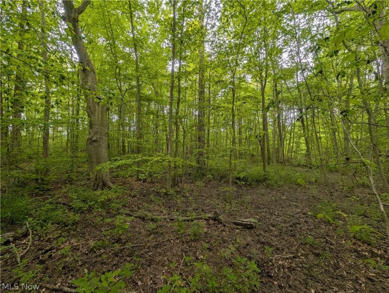W Western Reserve Road, Canfield, OH - Photo 3