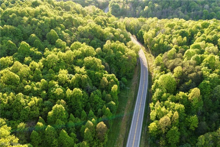 State Route 550, Amesville, OH - Photo 8