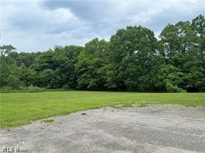 320 Main Road, Conneaut, OH - Photo 3
