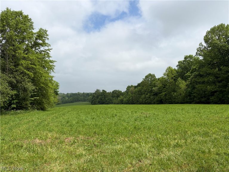 8416 Township Road 551, Shreve, OH - Photo 2