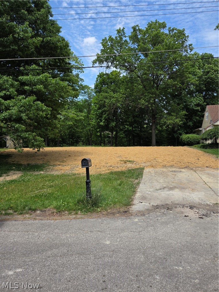 1065 Rosealee Avenue, Elyria, OH - Photo 3