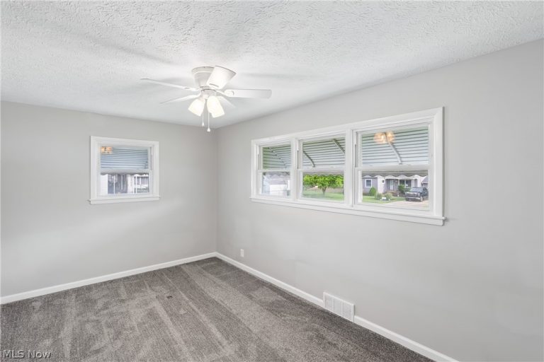 11605 Harold Drive, Cleveland, OH - Photo 4