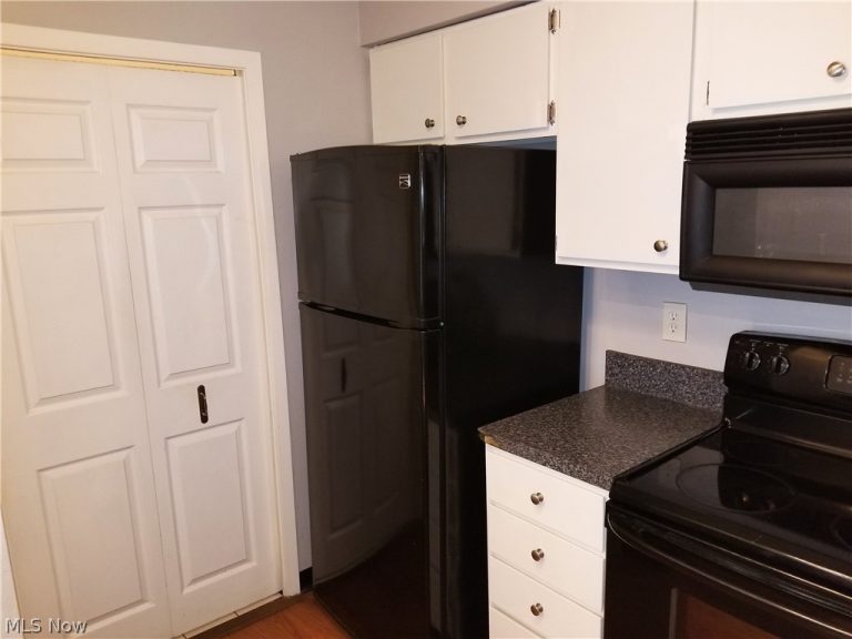 1217 River Road #D1, Elyria, OH - Photo 8