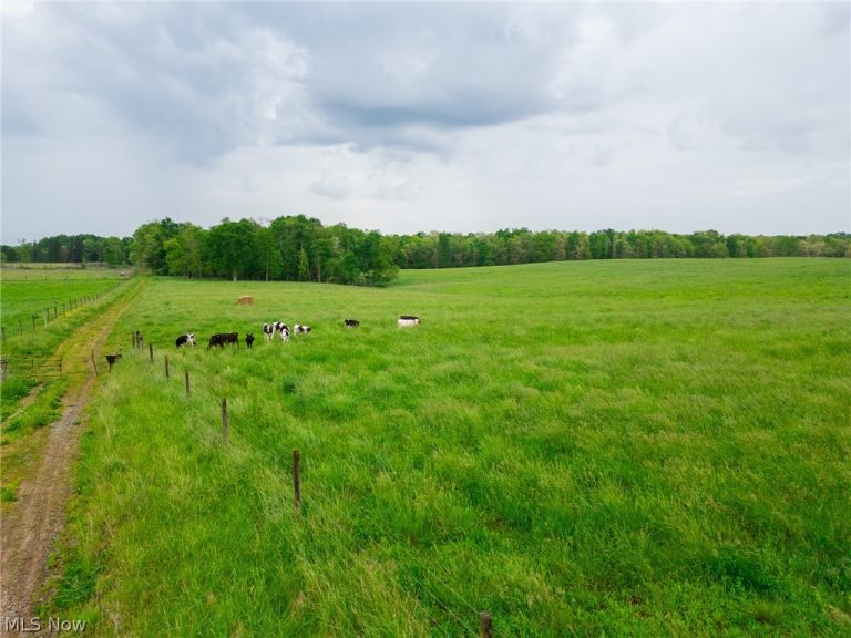 Emerick Road, Salineville, OH - Photo 4
