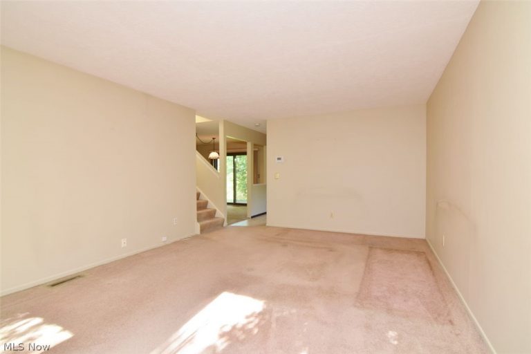 7024 Buckhurst Place, Concord Twp, OH - Photo 6