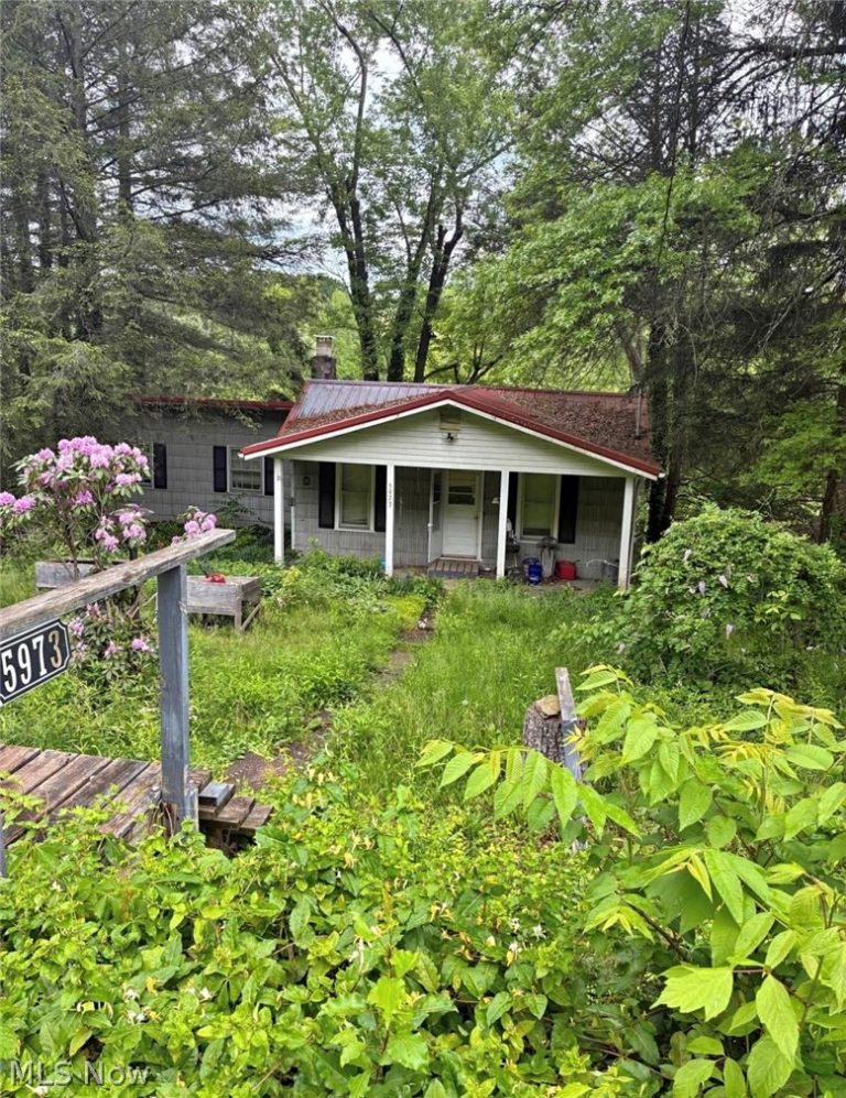 5973 Elizabeth Pike, Elizabeth, WV - Photo 2