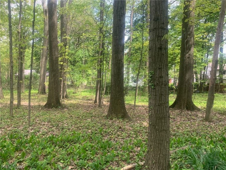 1340 Lincoln Avenue, Salem, OH - Photo 5