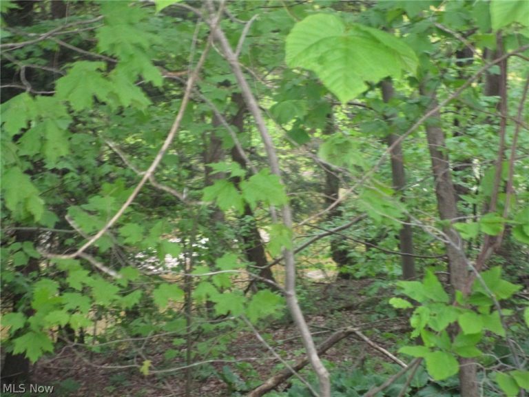 Daniels Avenue, Conneaut, OH - Photo 3