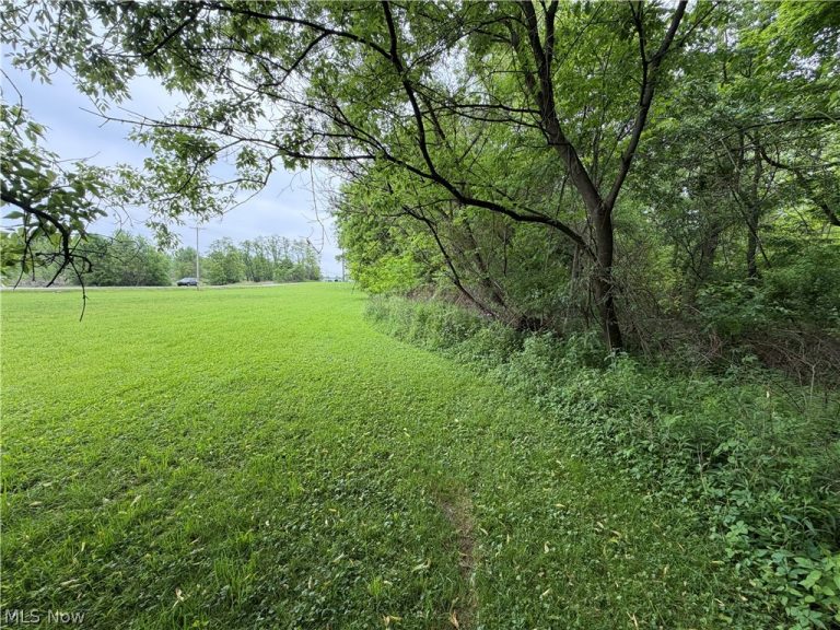 9098 Diagonal Road, Streetsboro, OH - Photo 2