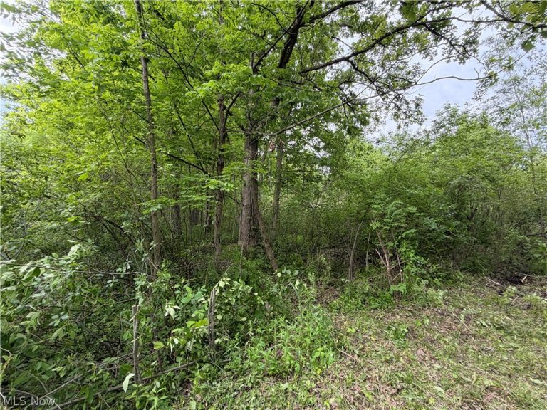 Dayton Road, Madison, OH - Photo 6