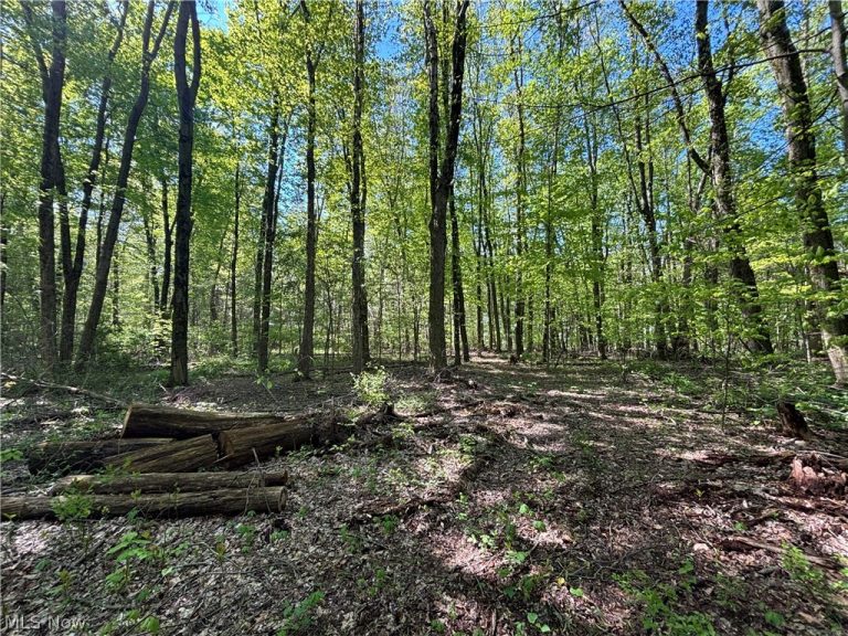 6060 Dalton Fox Lake Road, North Lawrence, OH - Photo 5