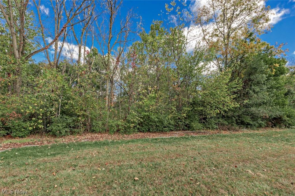 V/L Usher Road, Olmsted Twp, OH