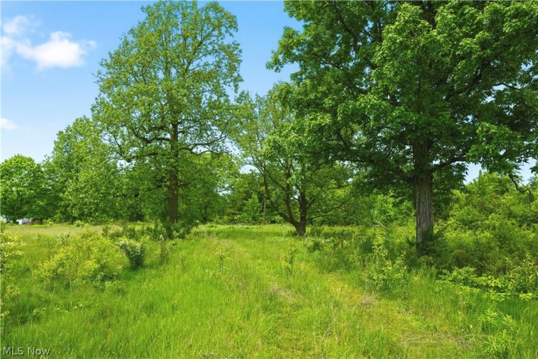 3133 Greenwich Road, Wadsworth, OH - Photo 2