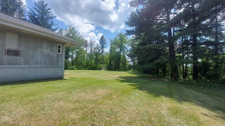 227 Canton Road, Wintersville, OH - Photo 4