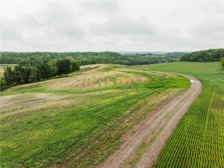 28425 Township Road 421, Fresno, OH, 43824