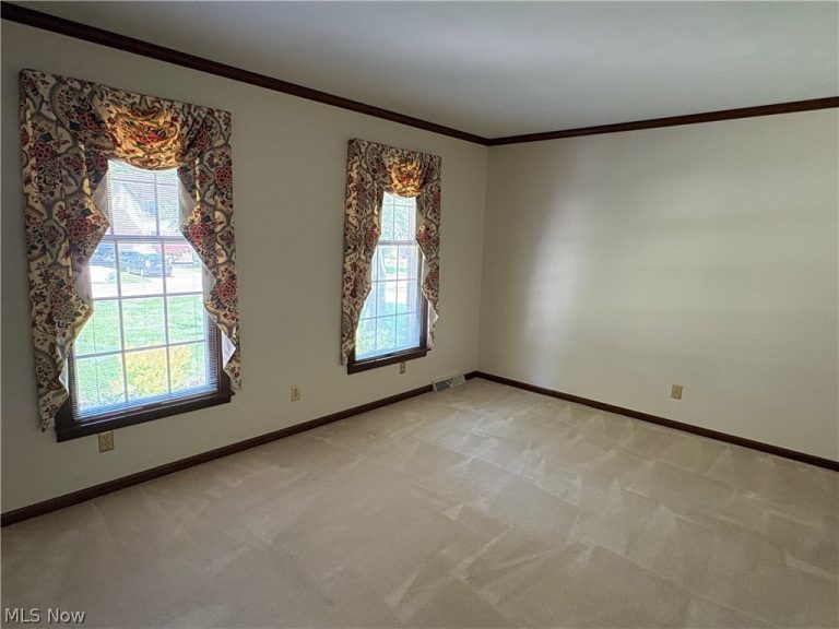 133 Southdale Boulevard, Cortland, OH - Photo 5