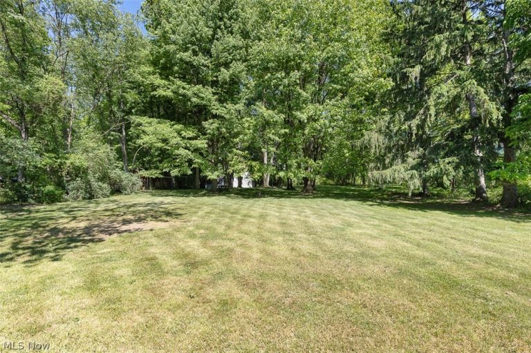 7761 Big Creek Parkway, Middleburg Heights, OH - Photo 4