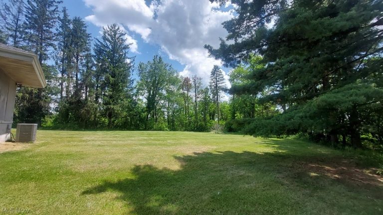 227 Canton Road, Wintersville, OH - Photo 5