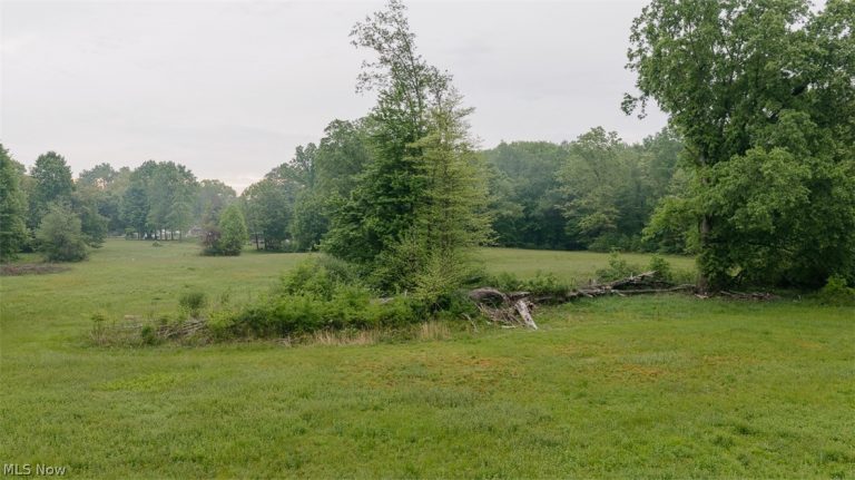 Chestnut Ridge Ridge, Masury, OH - Photo 6