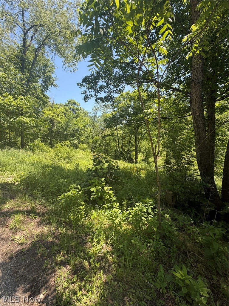 15692 Sligo Road, Kimbolton, OH - Photo 6