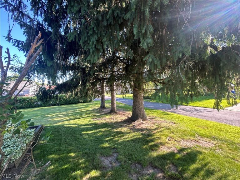 501 Edison Street, Struthers, OH - Photo 4