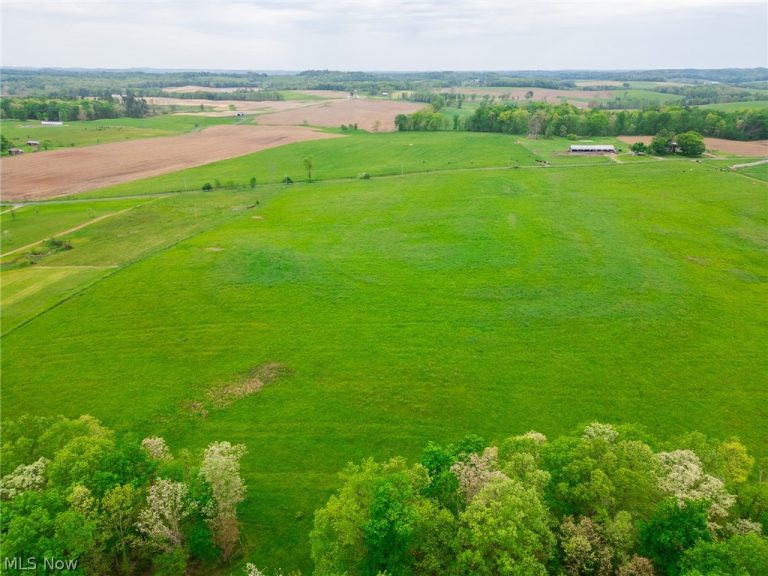 Emerick Road, Salineville, OH - Photo 2