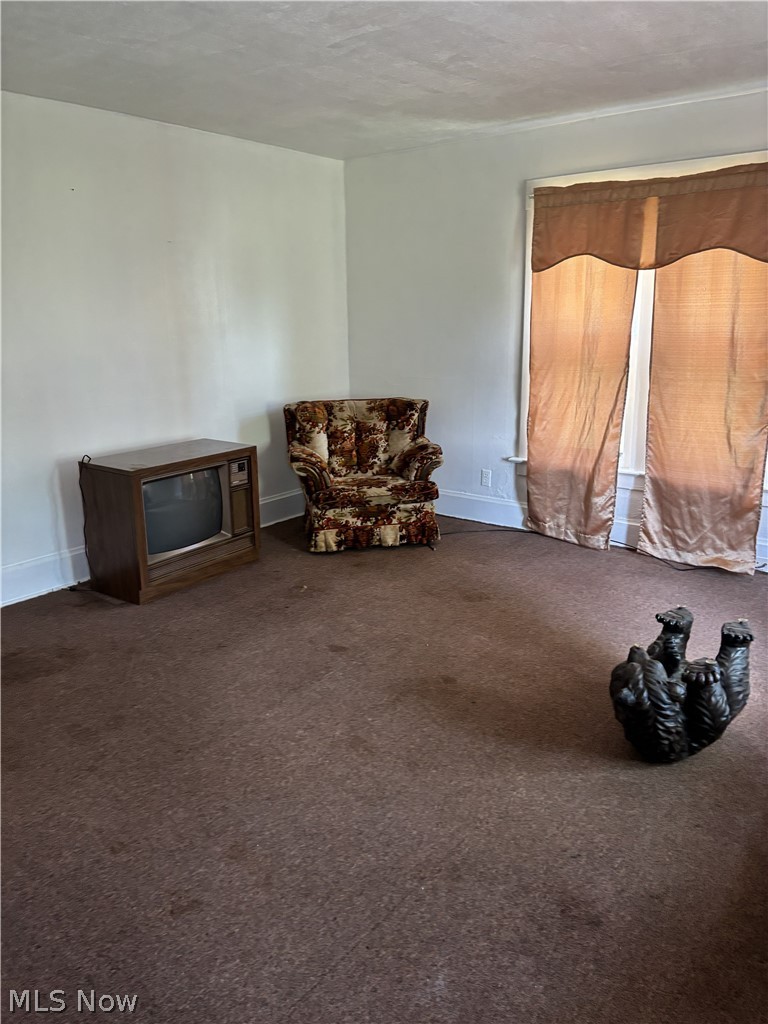 11371 Walnut Avenue, Alliance, OH - Photo 8