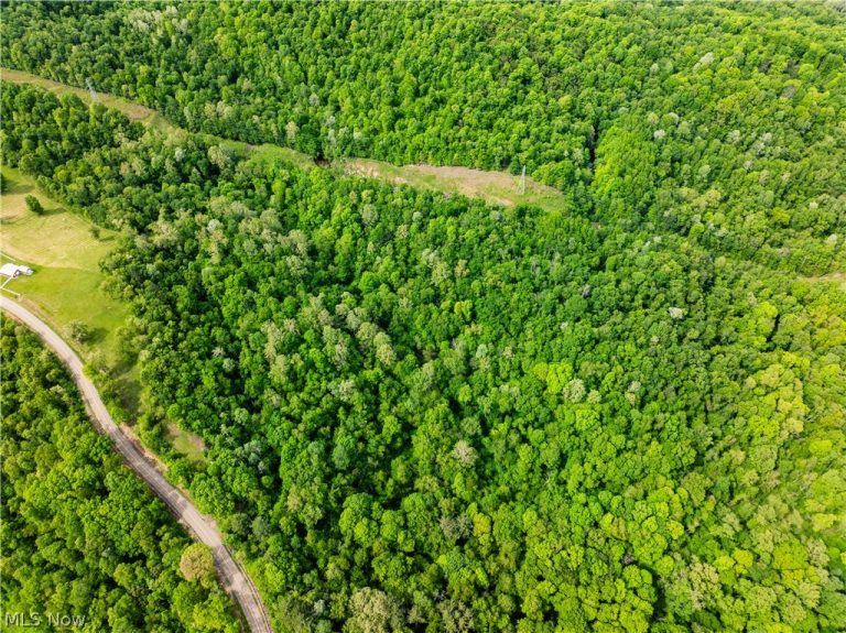Edie Hill Road, Uhrichsville, OH - Photo 3