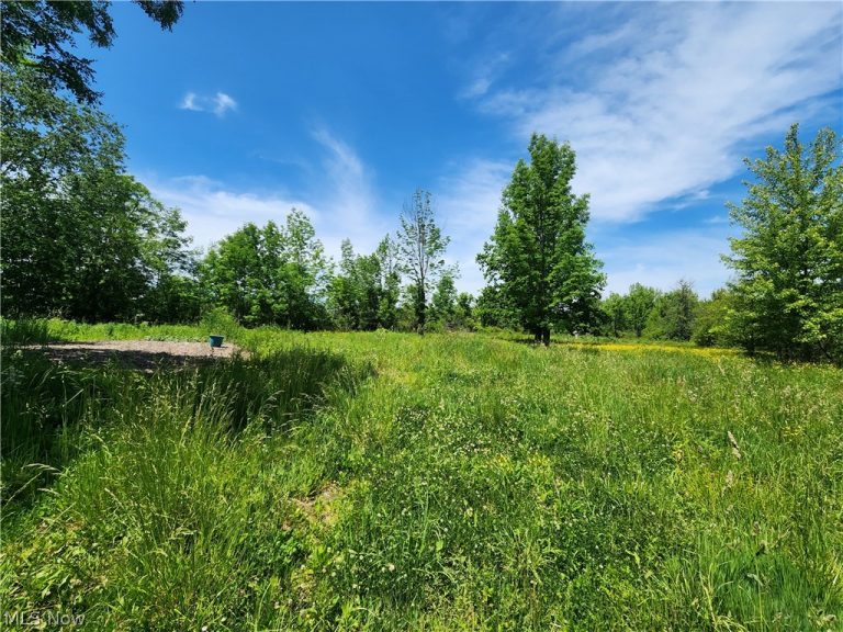 14161 Painesville Warren Road, Painesville, OH - Photo 3