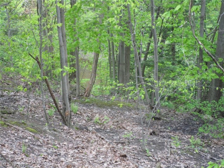 Daniels Avenue, Conneaut, OH - Photo 8