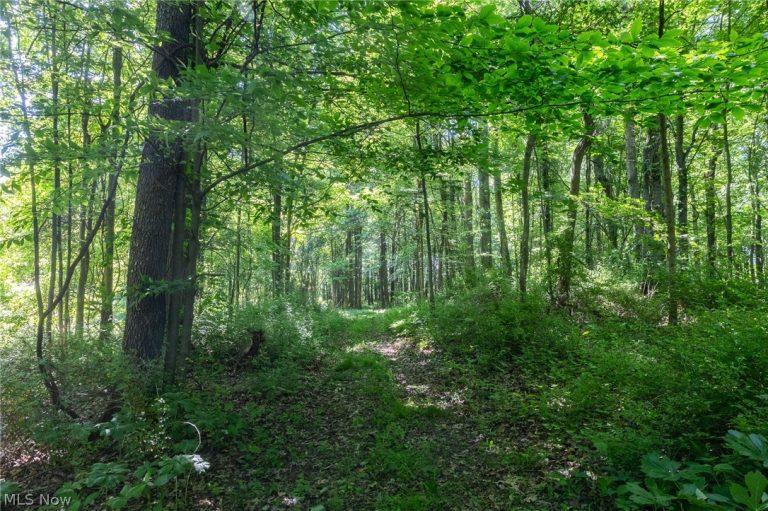 Ridge Rd, Minerva, OH - Photo 6