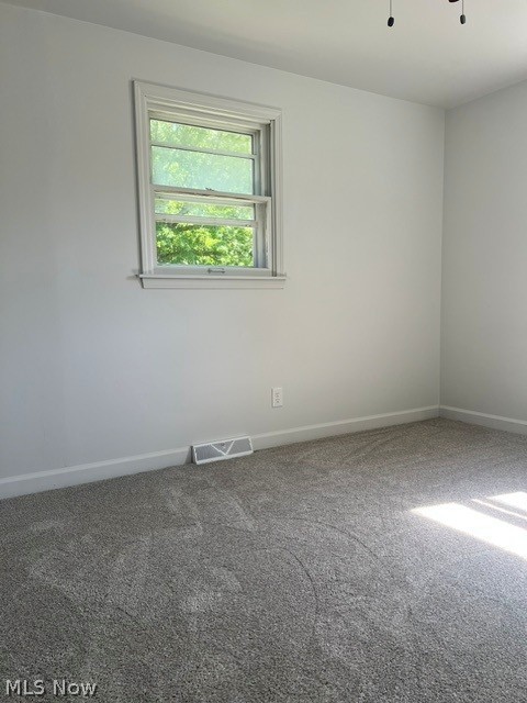 103 Rosemont, Youngstown, OH - Photo 8