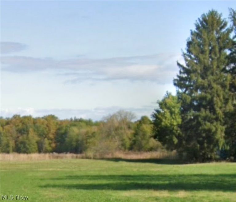 39136 State Route 18, Wellington, OH - Photo 4