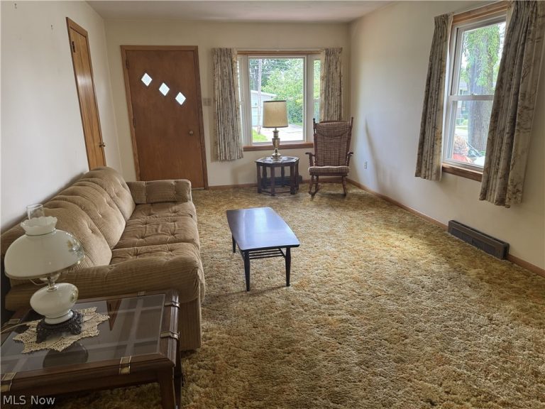 905 Carnegie Avenue, Akron, OH - Photo 8