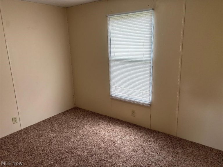 40703 Mill Road, Flushing, OH - Photo 4