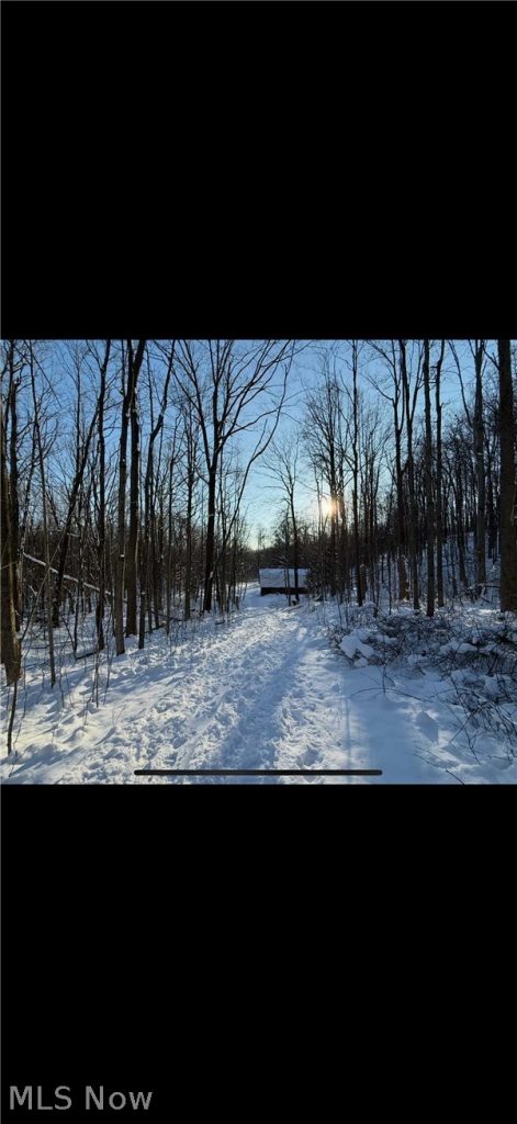 Winterberry Lane, Chardon, OH