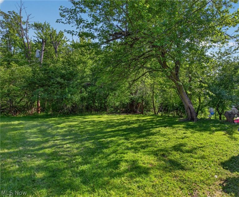 16218 Telfair Avenue, Cleveland, OH - Photo 4