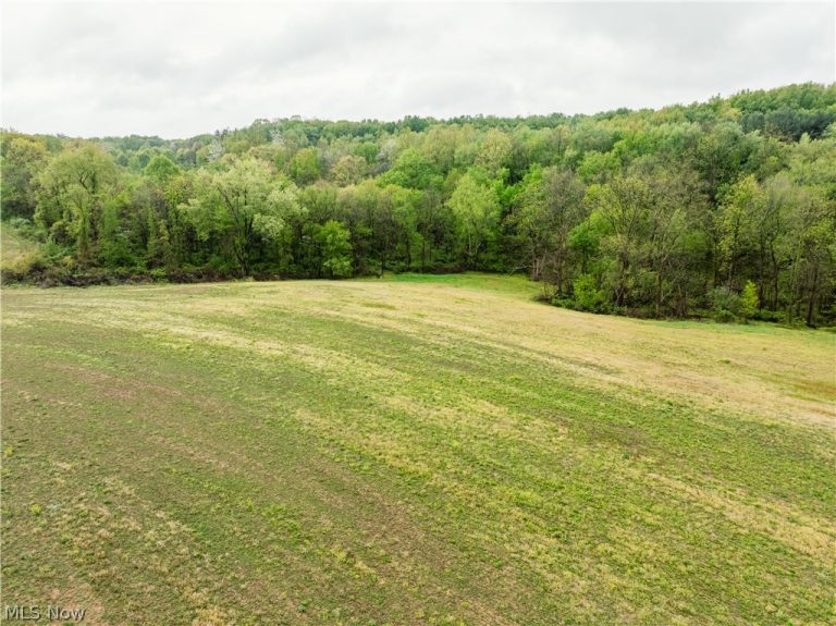 28425 Township Road 421, Fresno, OH - Photo 3