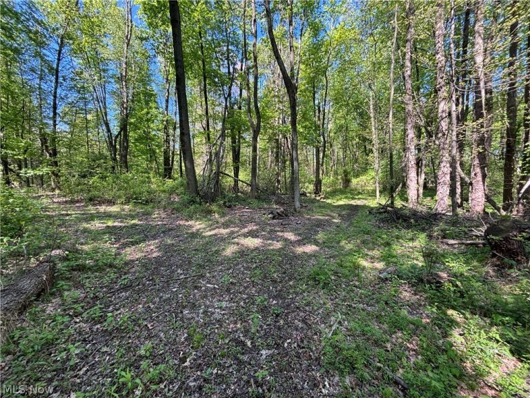 6060 Dalton Fox Lake Road, North Lawrence, OH - Photo 2