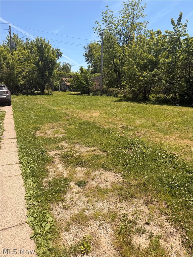 3999 141st Street, Cleveland, OH - Photo 4