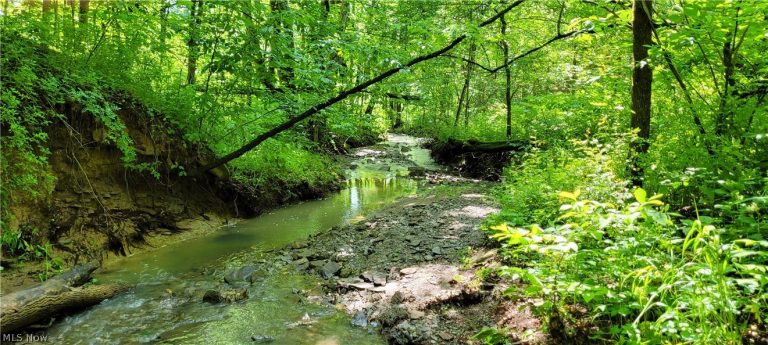 Hollis Clark Road, Caldwell, OH - Photo 2
